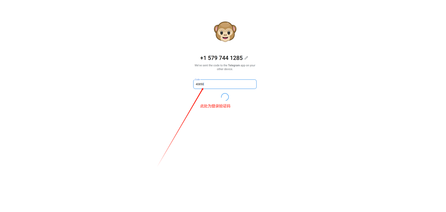 Telegram 输入 2FA 密码